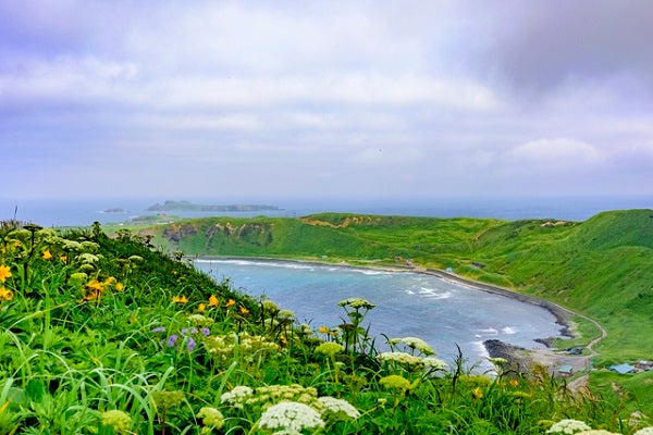 北の果てを旅する花咲く初夏の利尻・礼文島と宗谷岬3泊4日1